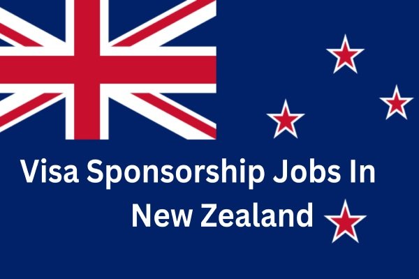 Best In-Demand Jobs with Visa Sponsorship in New Zealand